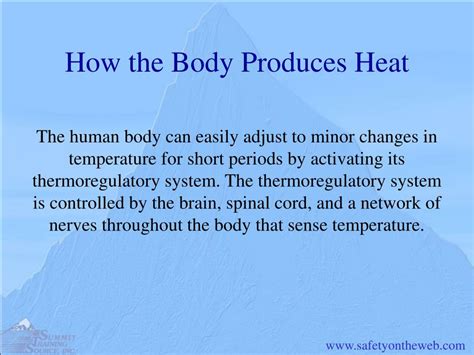 what produces heat in the body